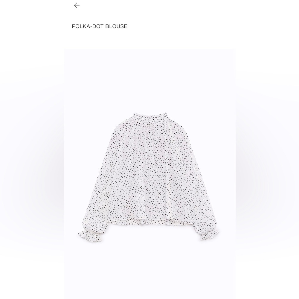 Zara NWT polka dot sheer blouse XL